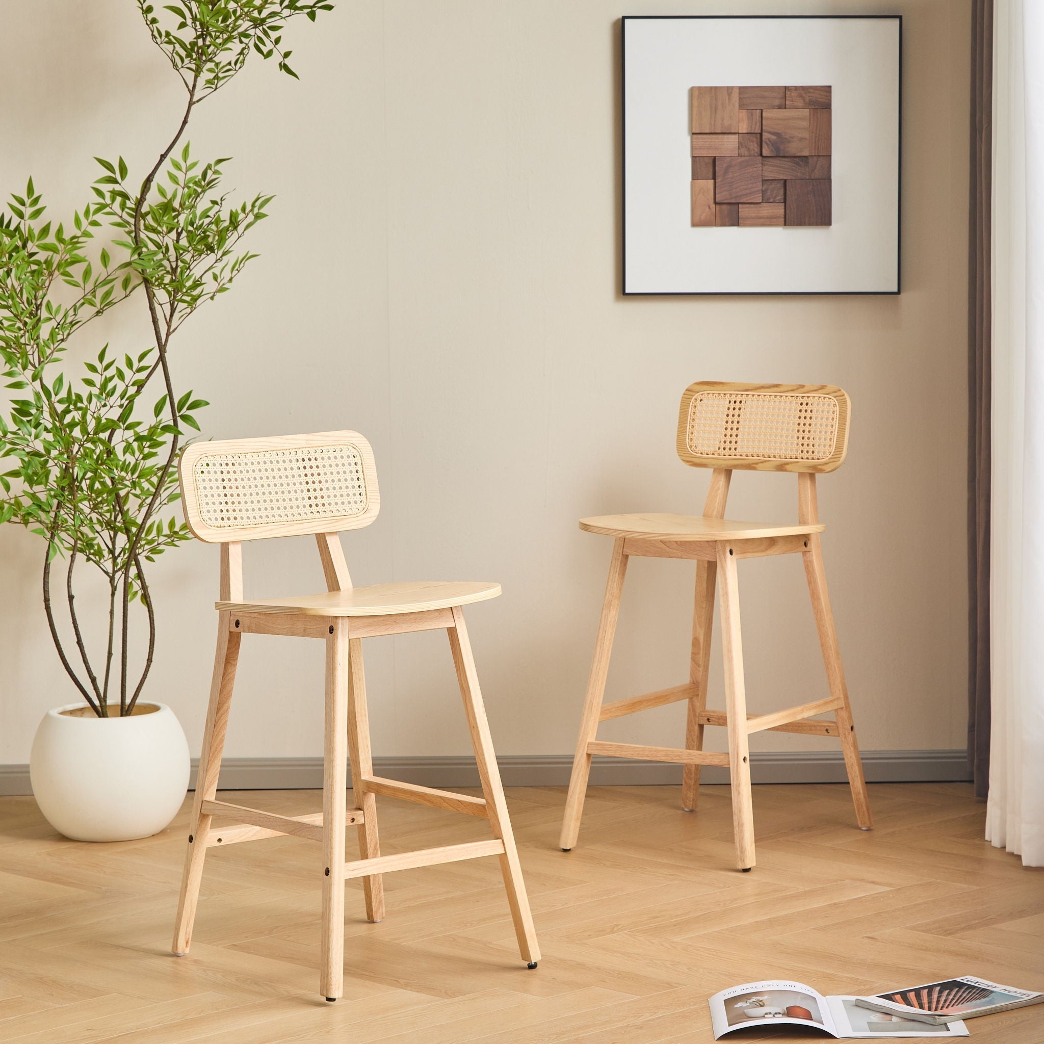Bari Indoor Wood Barstool (Set of 2)