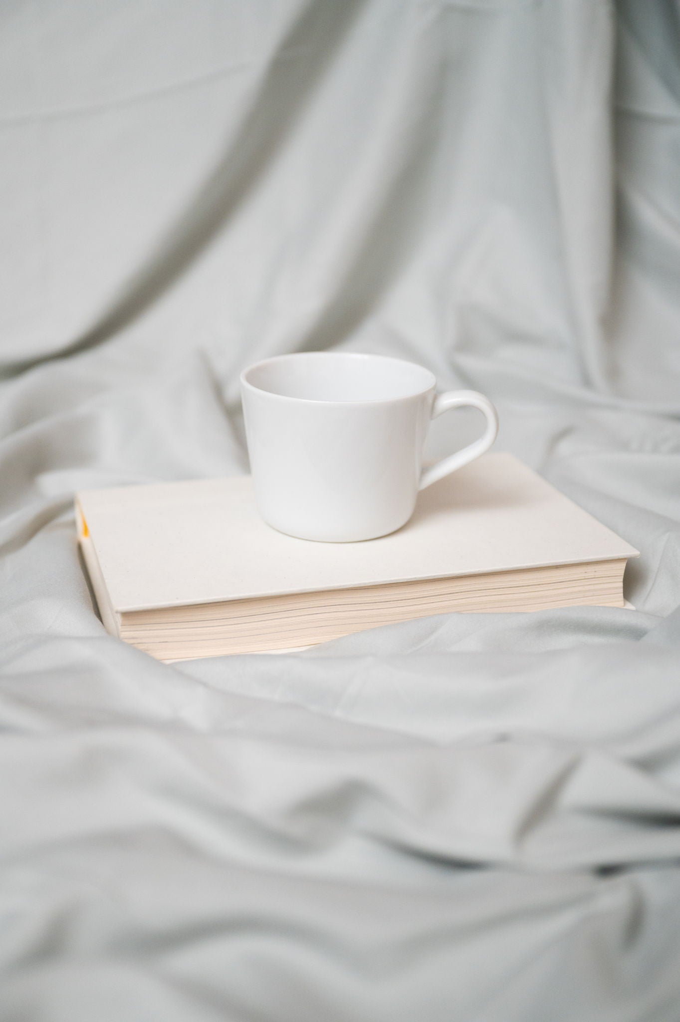 Brushed Hypoallergenic Sheet Set