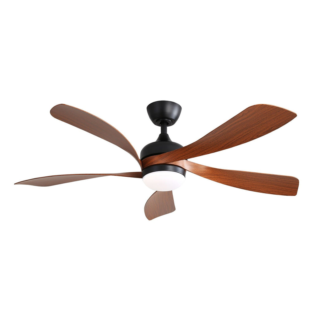 Ceiling Fan with DC Motor and Integrated Light