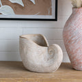 11.5x6.7x7.7" Sand and Cement Nautilus Shell Planter with Textured Beige Finish
