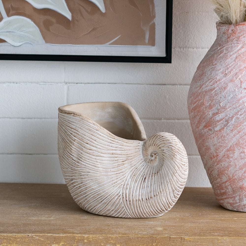 11.5x6.7x7.7" Sand and Cement Nautilus Shell Planter with Textured Beige Finish