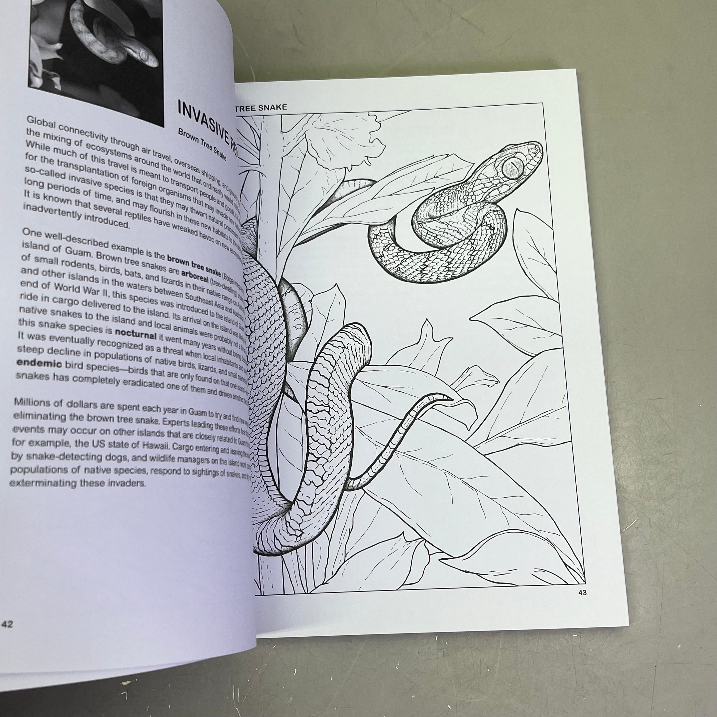 THE RETILES COLORING BOOK Science & Anatomy Paperback Coloring Activity Book