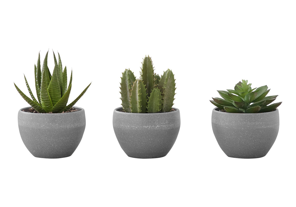 6" Tall Artificial Succulent Plant Set of 3