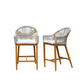 Bar Stools Set of 2 with Arm and Backrest