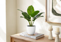 17" Tall Aureum Artificial Indoor Plant in White Pot