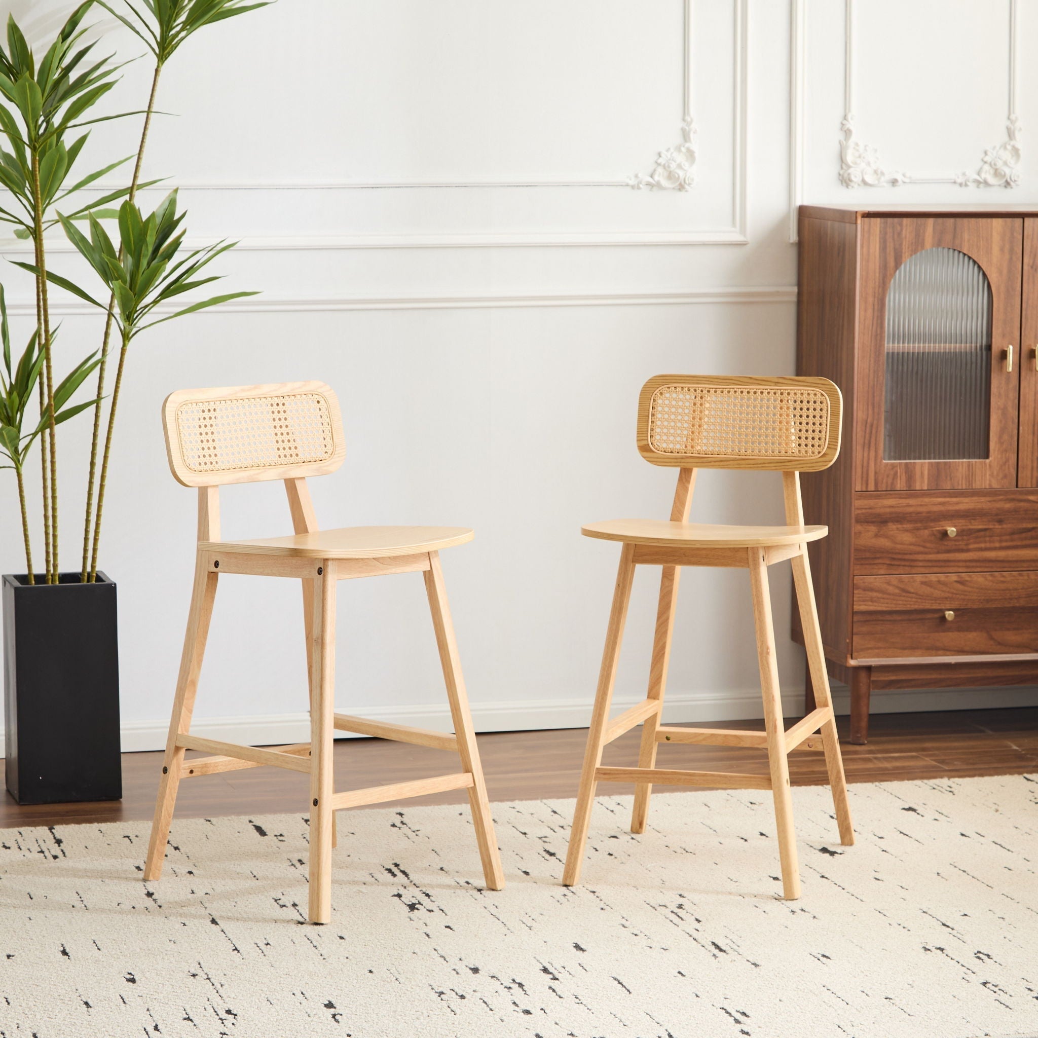 Bari Indoor Wood Barstool (Set of 2)