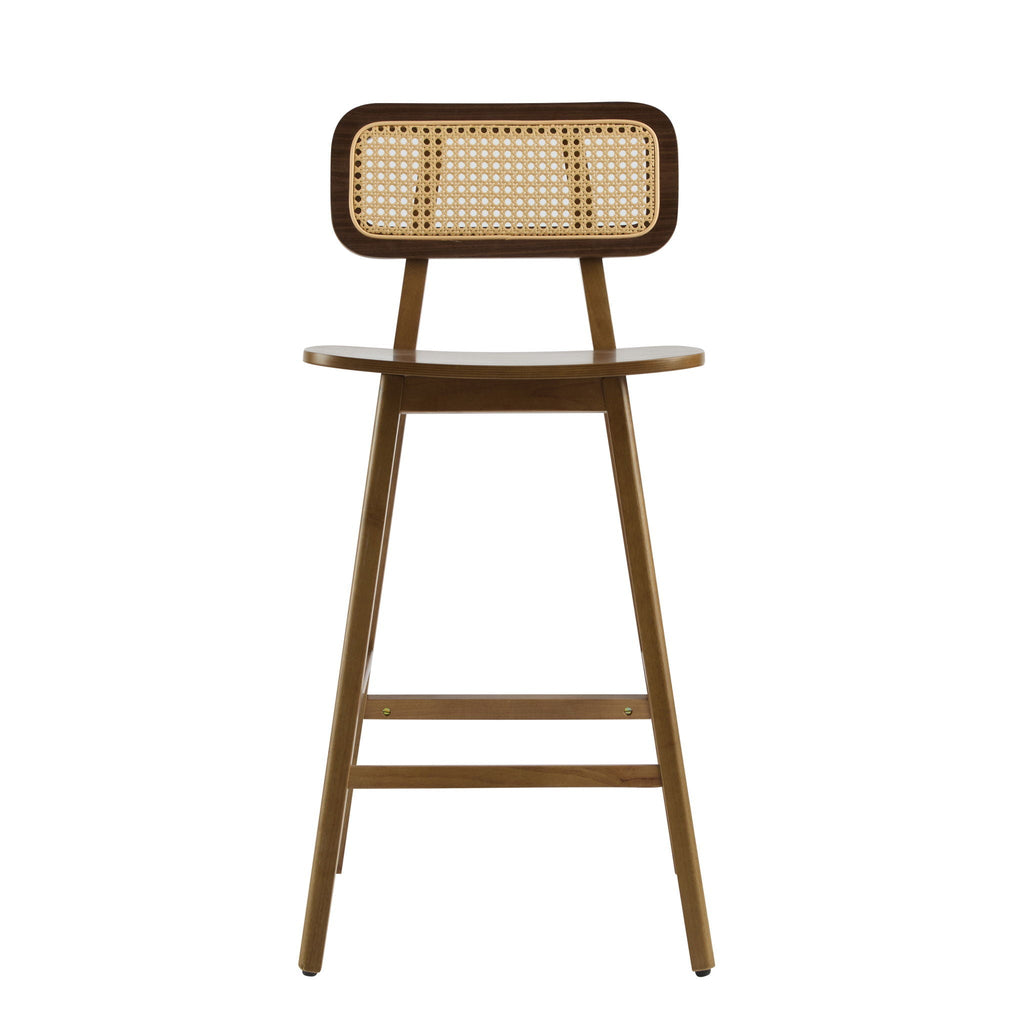 Bari Indoor Wood Barstool (Set of 2)