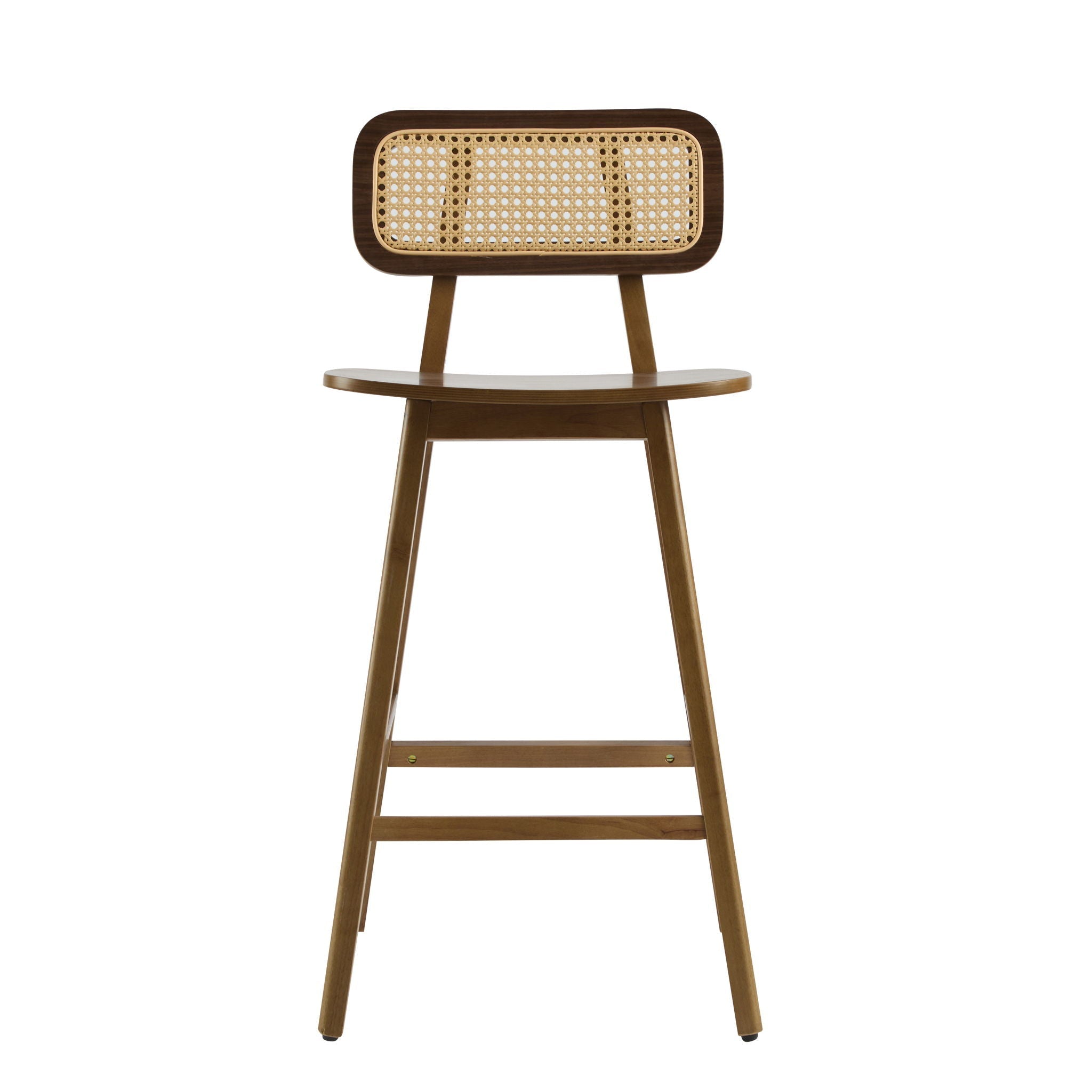 Bari Indoor Wood Barstool (Set of 2)