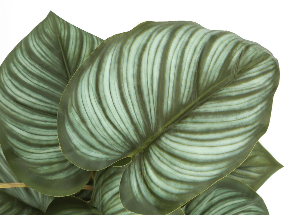 13" Tall Artificial Epipremnum Plants Set of 2