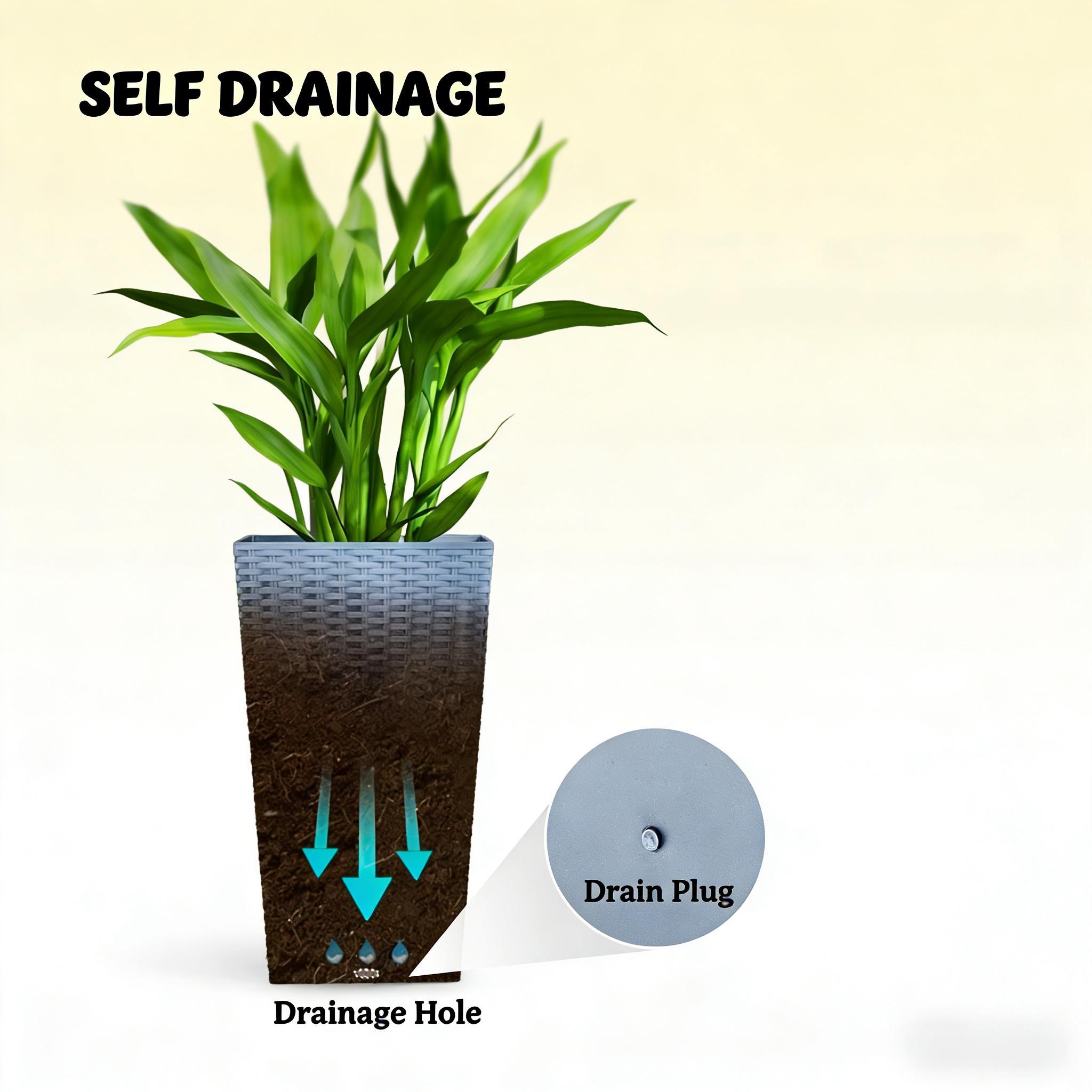 Plants Box Set of 3 Tall Planters