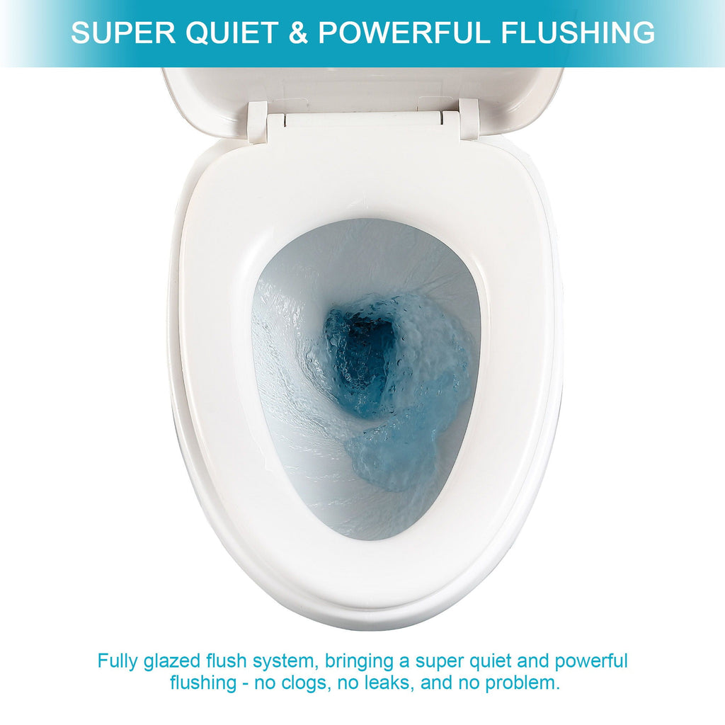 Modern Ceramic 1 Piece Toilet With Soft Closing Seat - White