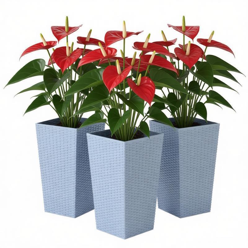 Plants Box Set of 3 Tall Planters