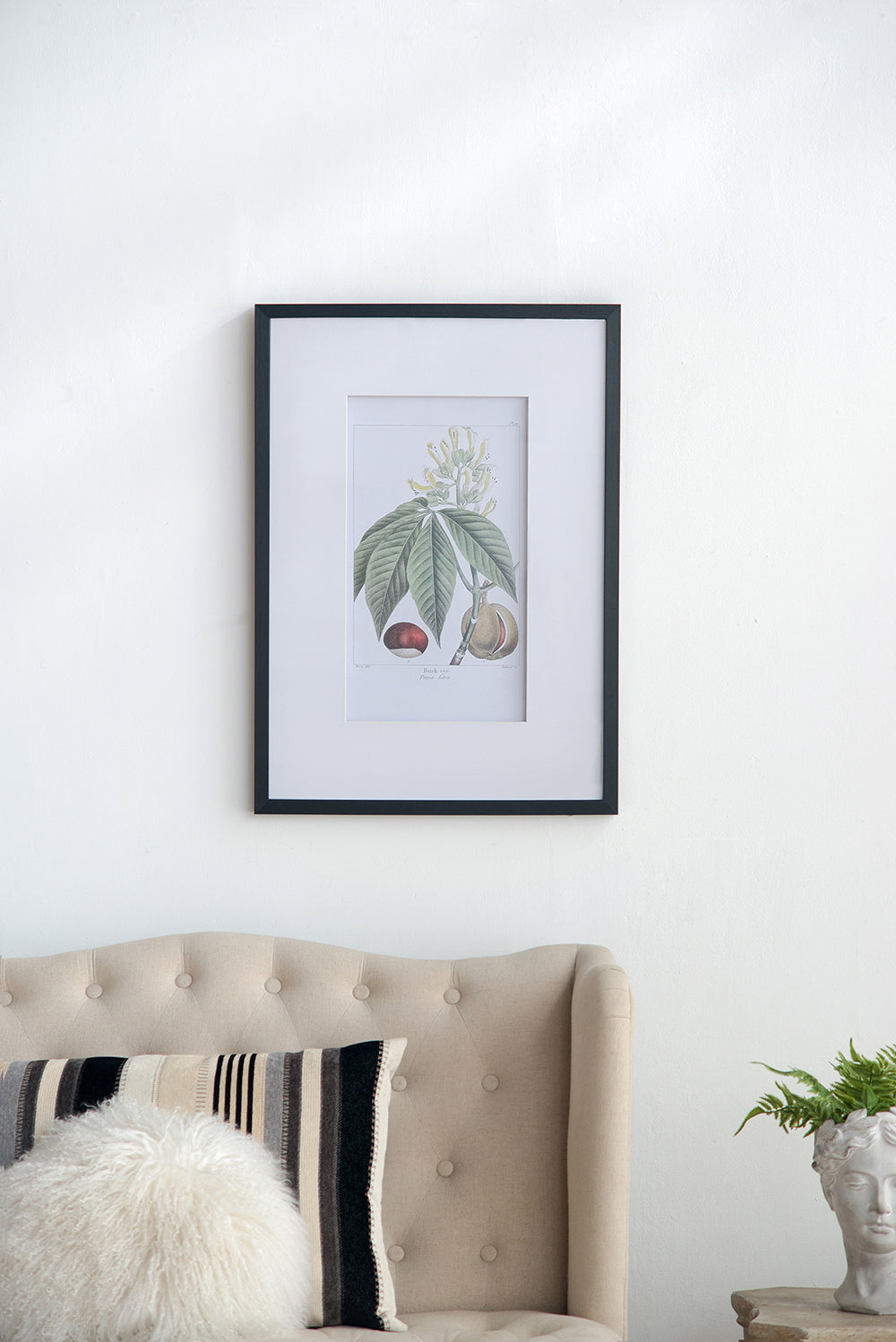 19.7x27.6 Botanical Wall Arts, Set of 2