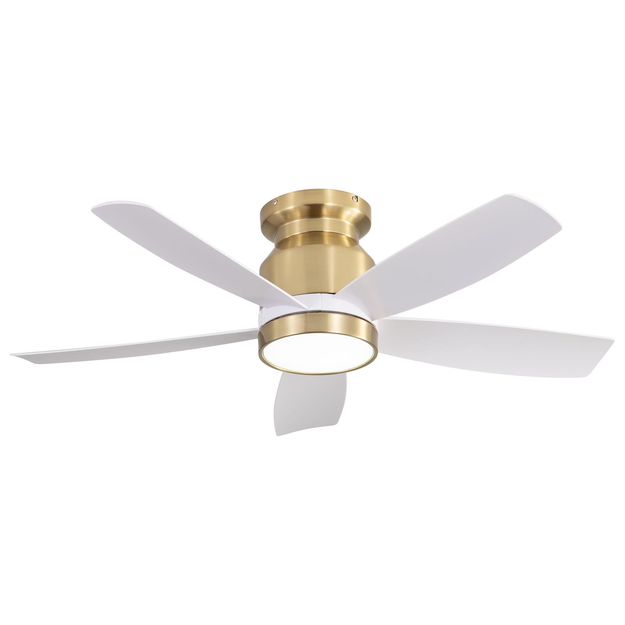 Flush Mount Ceiling Fan with LED Light and Remote Control