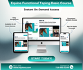 Equine Functional Taping Basic Course — Horse Owners