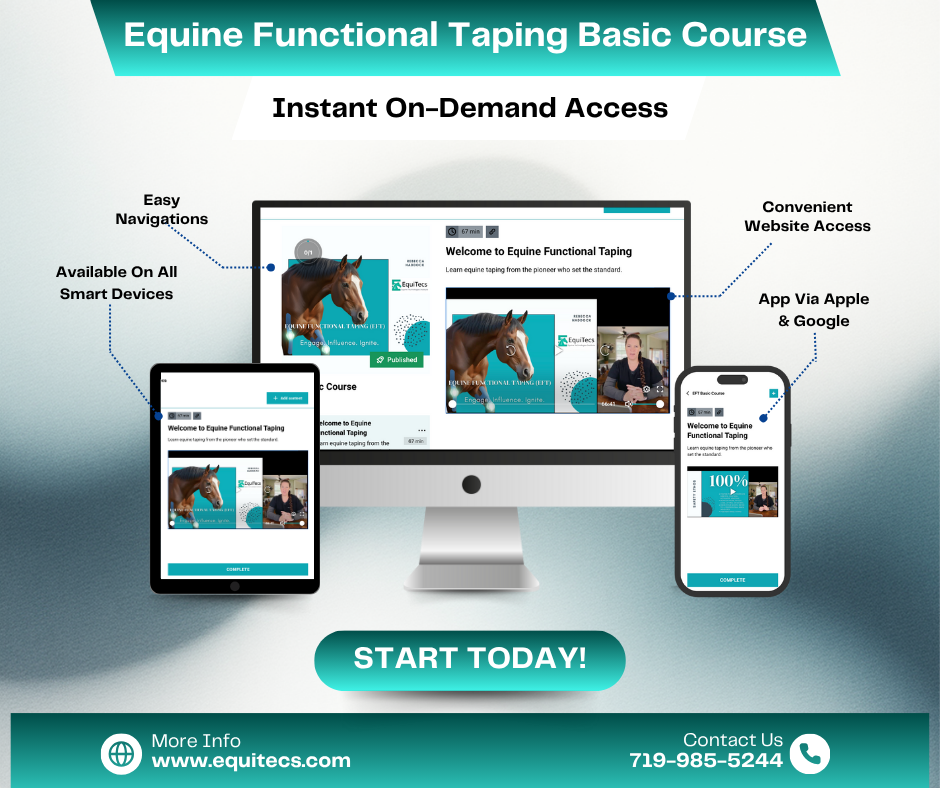 Equine Functional Taping Basic Course — Horse Owners