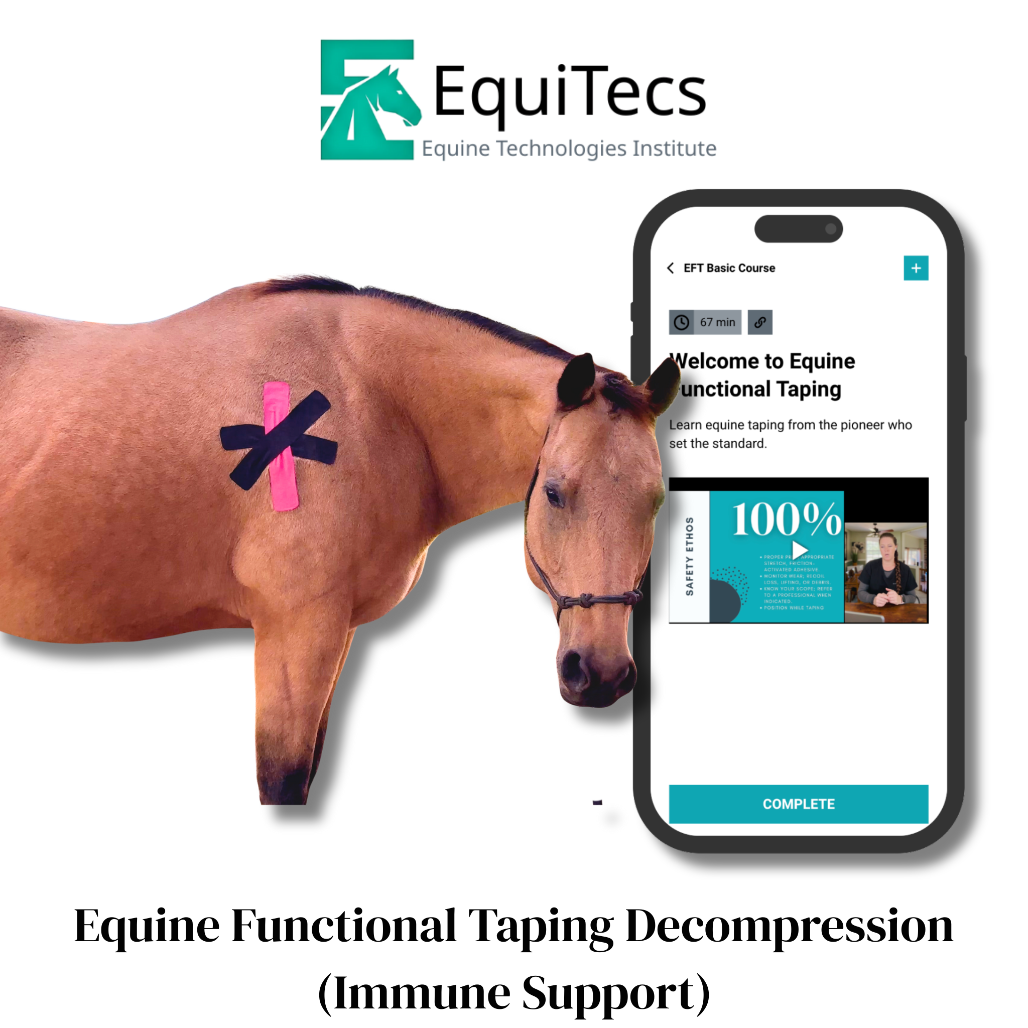 Equine Functional Taping Certification Course — 20 CE Hours