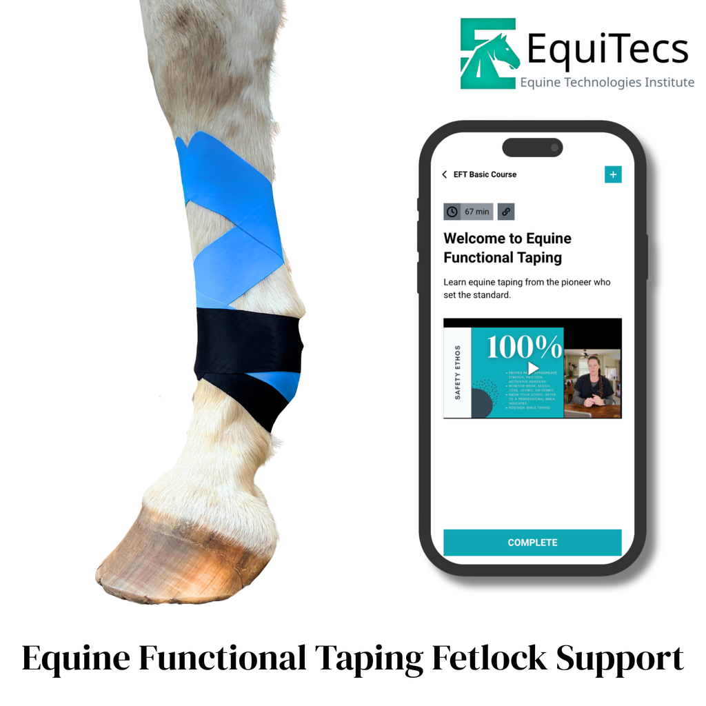 Equine Functional Taping Basic Course — Horse Owners