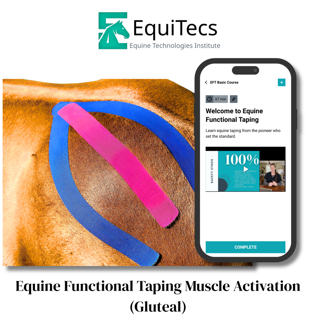 Equine Functional Taping Certification Course — 20 CE Hours