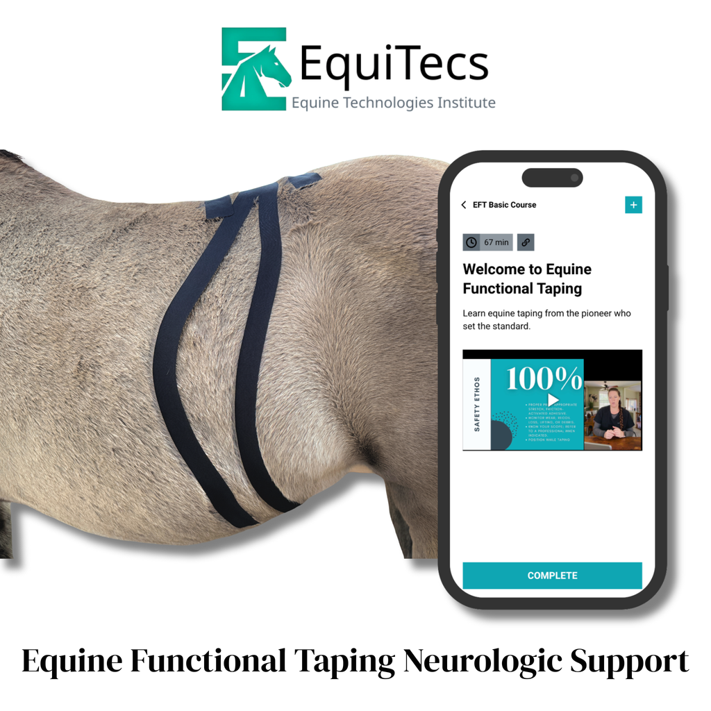 Equine Functional Taping Certification Course — 20 CE Hours