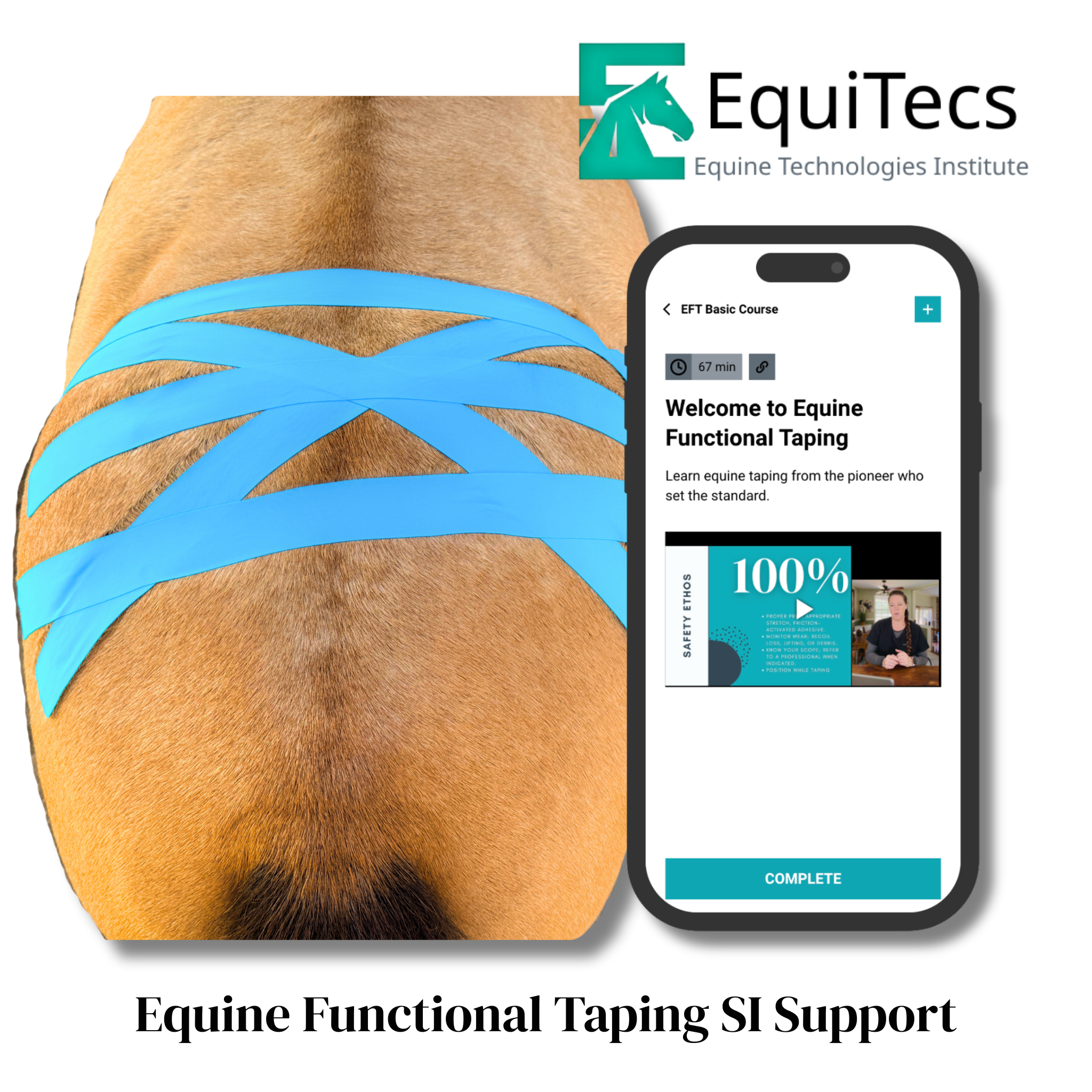 Equine Functional Taping Certification Course — 20 CE Hours