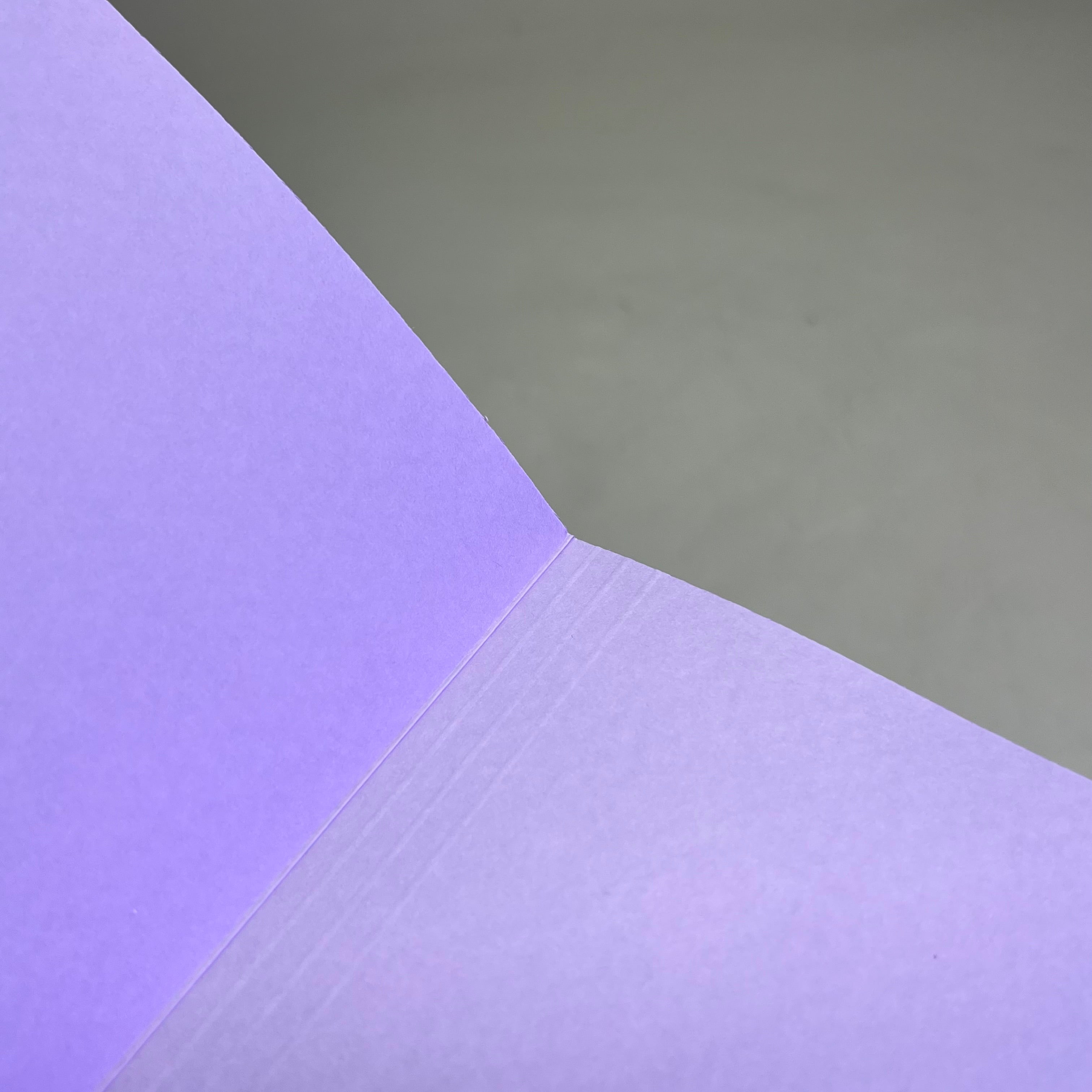 SMEAD (100 PACK) Reinforced File Folder Letter Sz 1/3 Cut Tab Lavender 12434