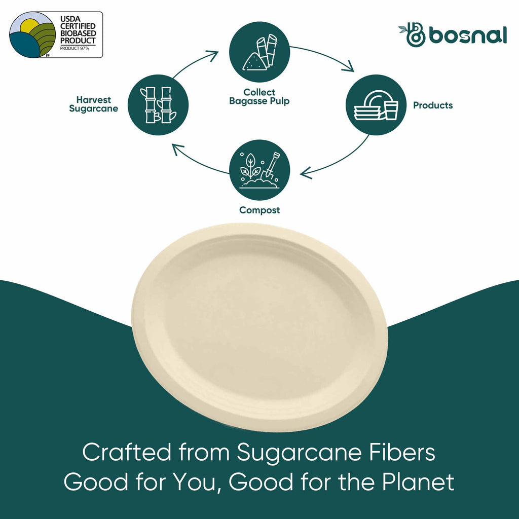 10 Inch Oval Bagasse Compostable Plates, Eco-Friendly Biodegradable Sugarcane Tableware, Durable for Parties & Everyday Use