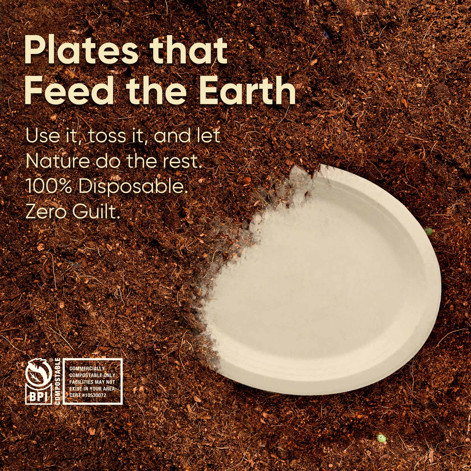 10 Inch Oval Bagasse Compostable Plates, Eco-Friendly Biodegradable Sugarcane Tableware, Durable for Parties & Everyday Use