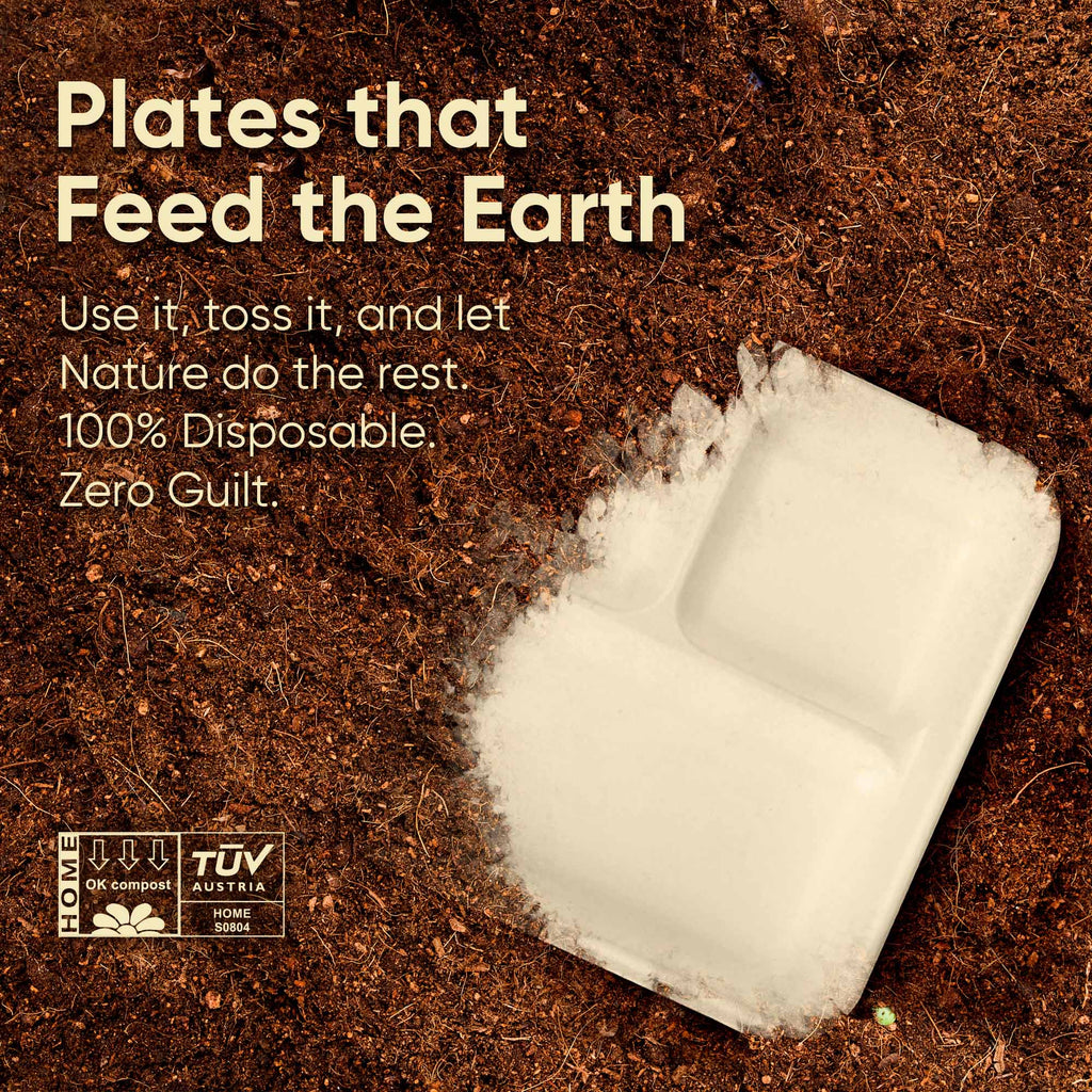 10 Inch Rectangle 5-Compartment Sugarcane Bagasse Compostable Trays, Eco-Friendly Disposable Food Trays, Microwave Safe