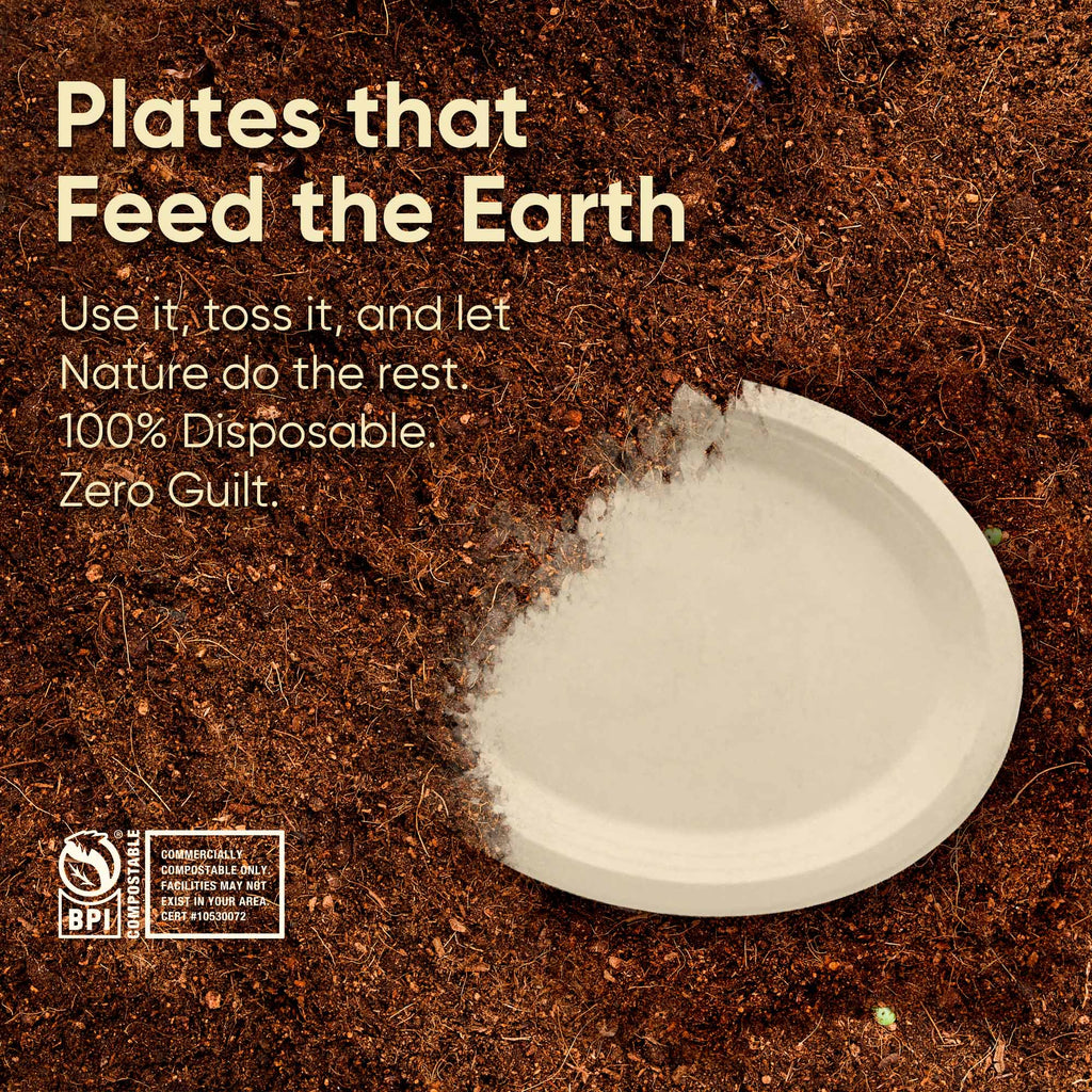 10 Inch Oval Compostable Plates – 500 Pcs, 100% Sugarcane Bagasse, Eco-Friendly Disposable Plates, Microwave Safe, BPA-Free, Sturdy