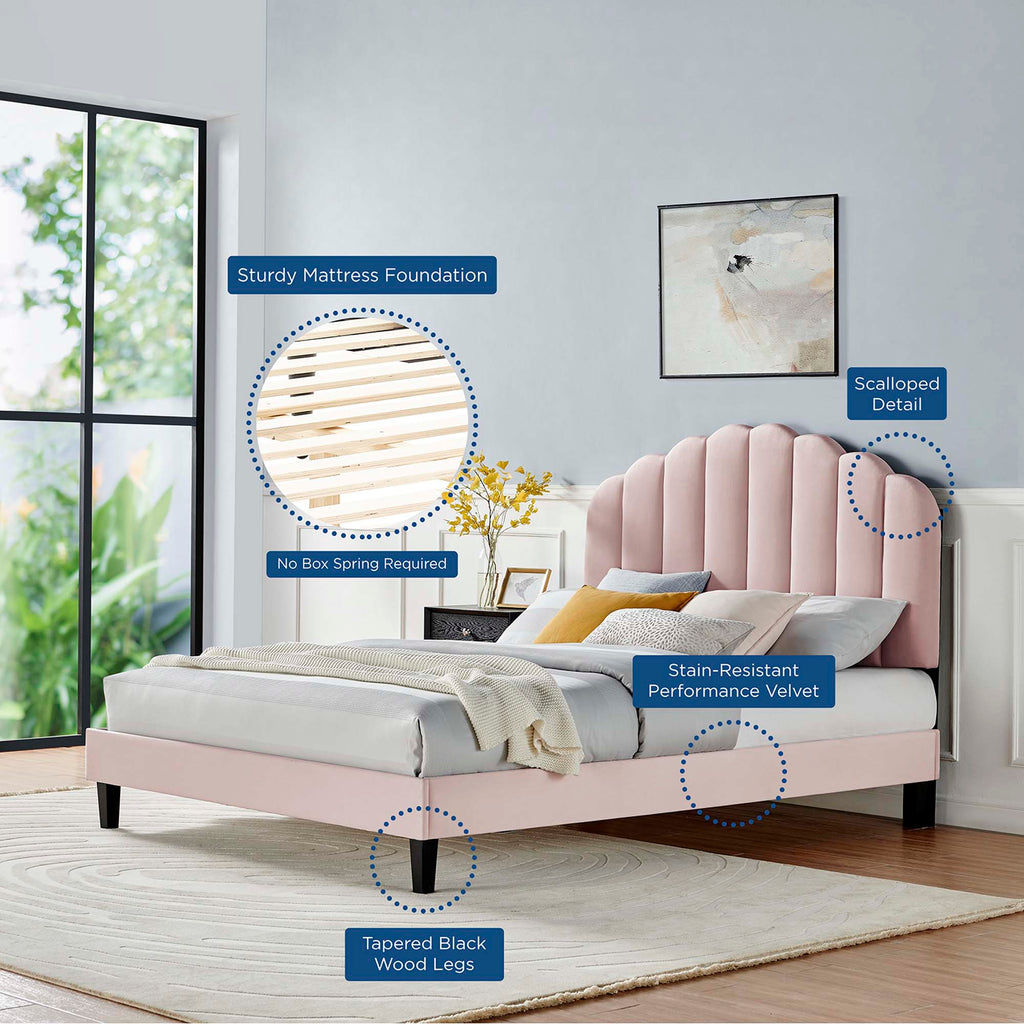 Daisy Performance Velvet Full Platform Bed by Modway