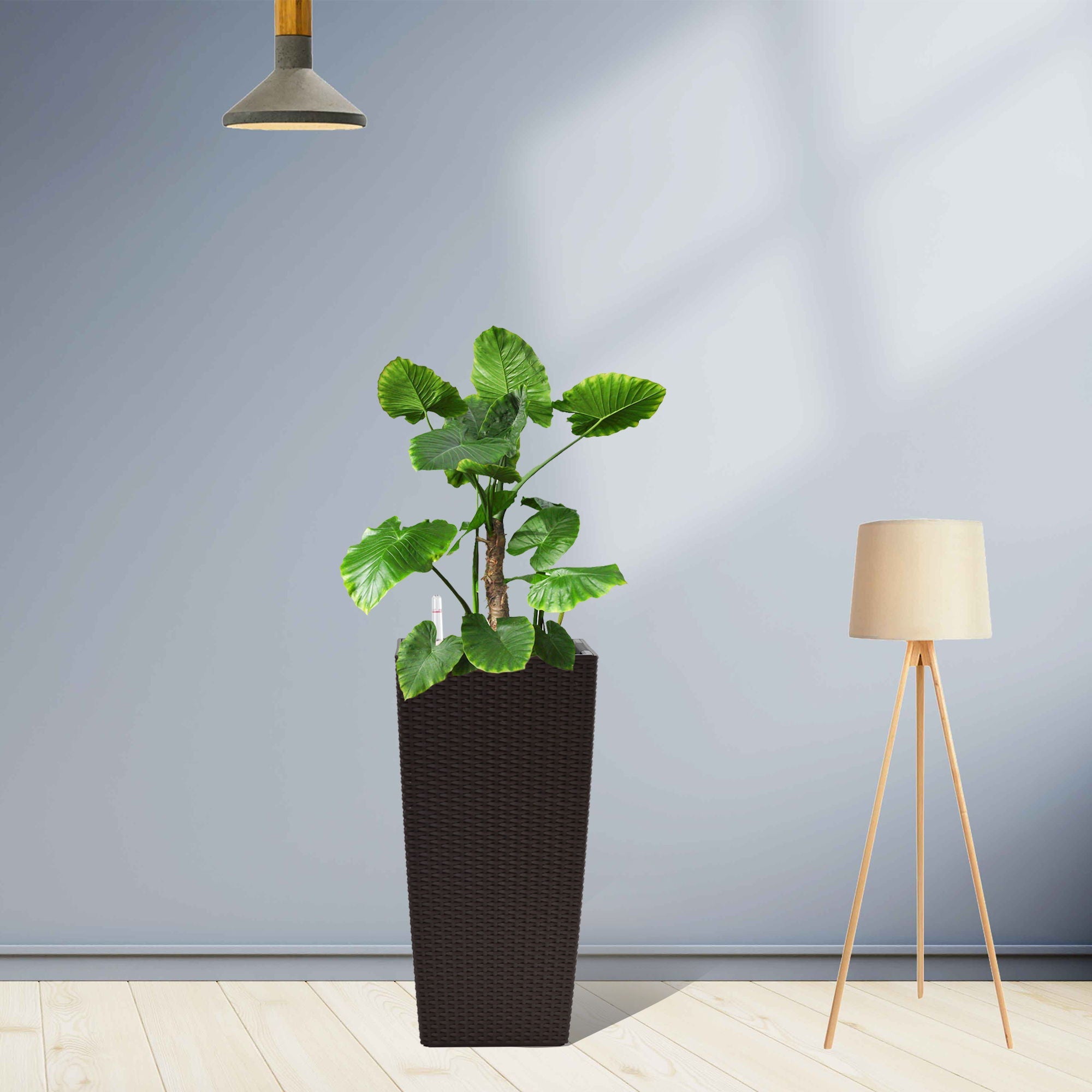 Indoor Outdoor Planter With Automatic Watering System