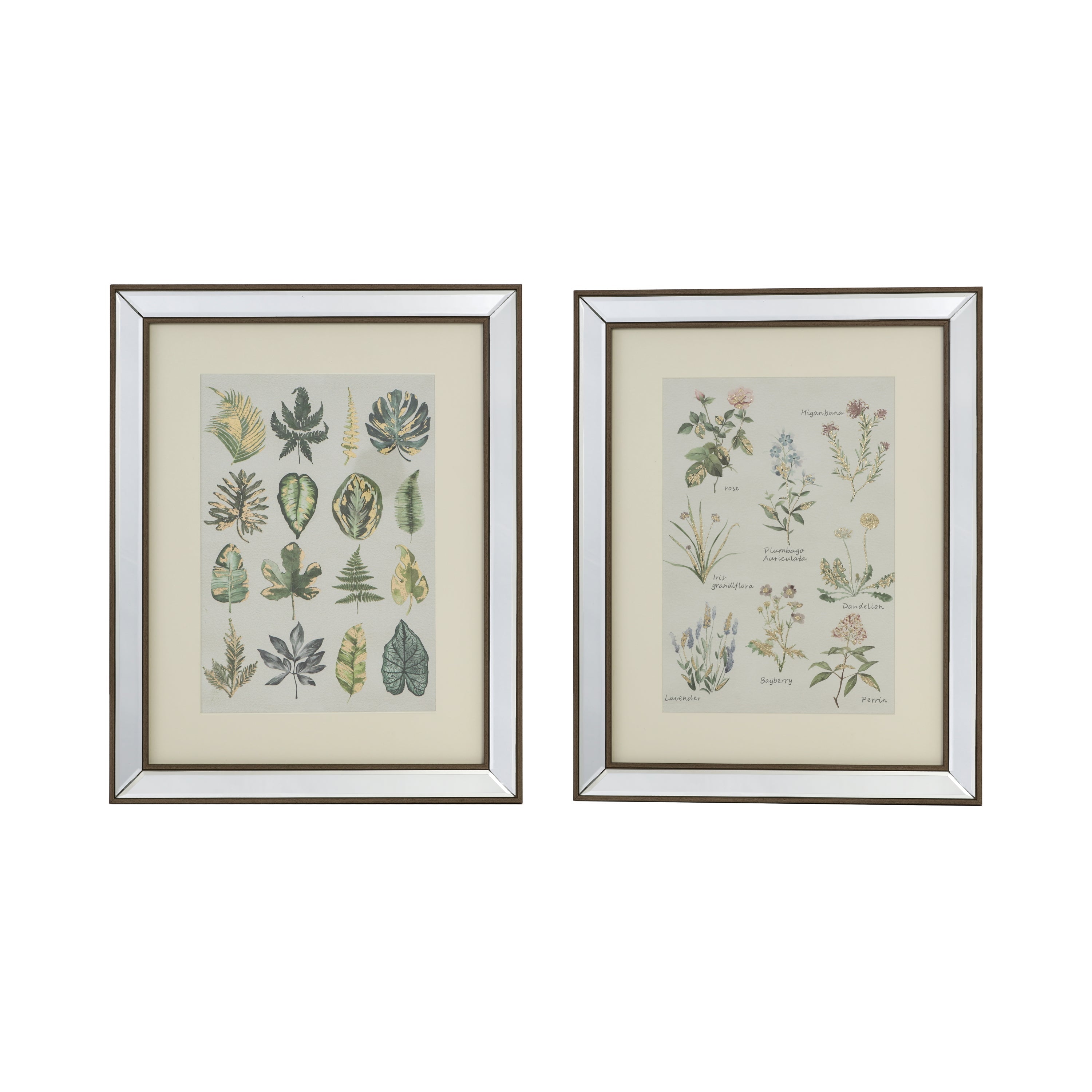 Set of 2 Liana Mirror Framed Wall Art