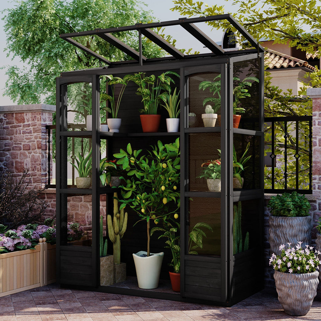 TOPMAX 78-inch Wooden Greenhouse Cold Frame with 4 Independent Skylights and 2 Folding Middle Shelves