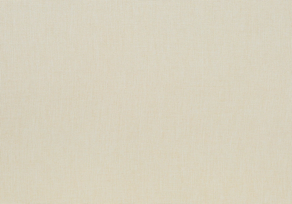 Dining Chair, Upholstered, Dining Room, Transitional (Set of 2) - Cream