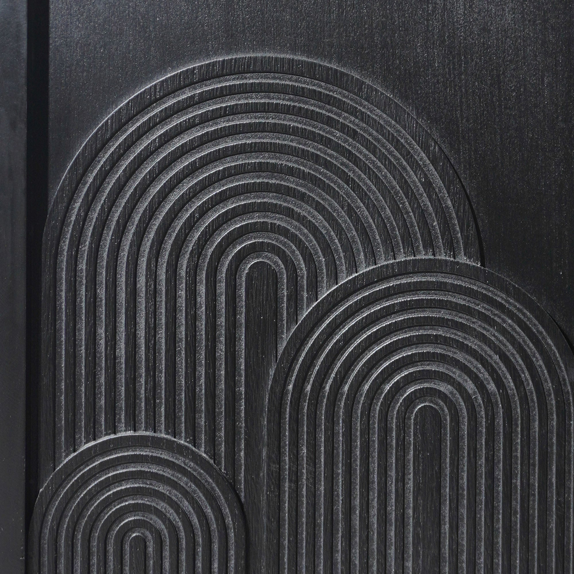Modern Black Wood Storage Cabinet with Embossed Door