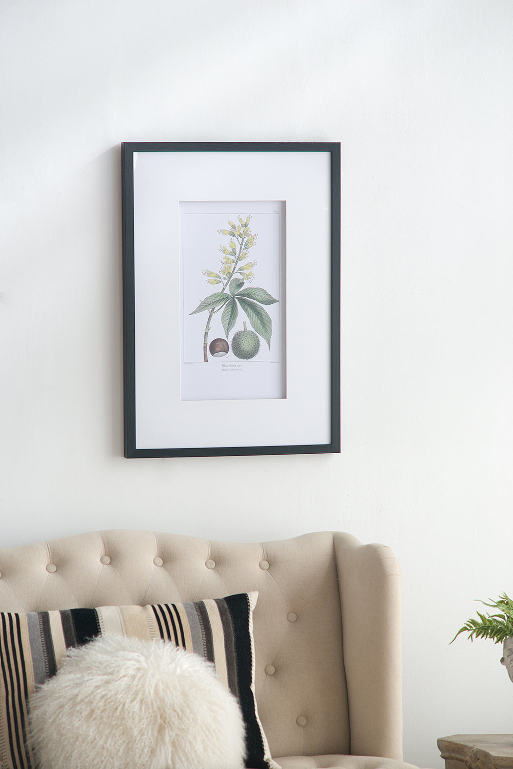 19.7x27.6 Botanical Wall Arts, Set of 2
