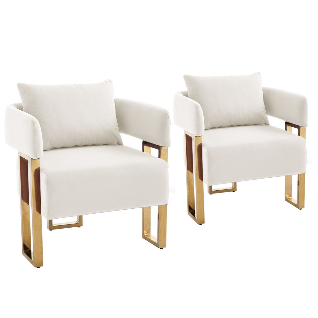 Modern Classic Decorative Chair with Teddy Fleece Upholstery