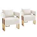 Modern Classic Decorative Chair with Teddy Fleece Upholstery