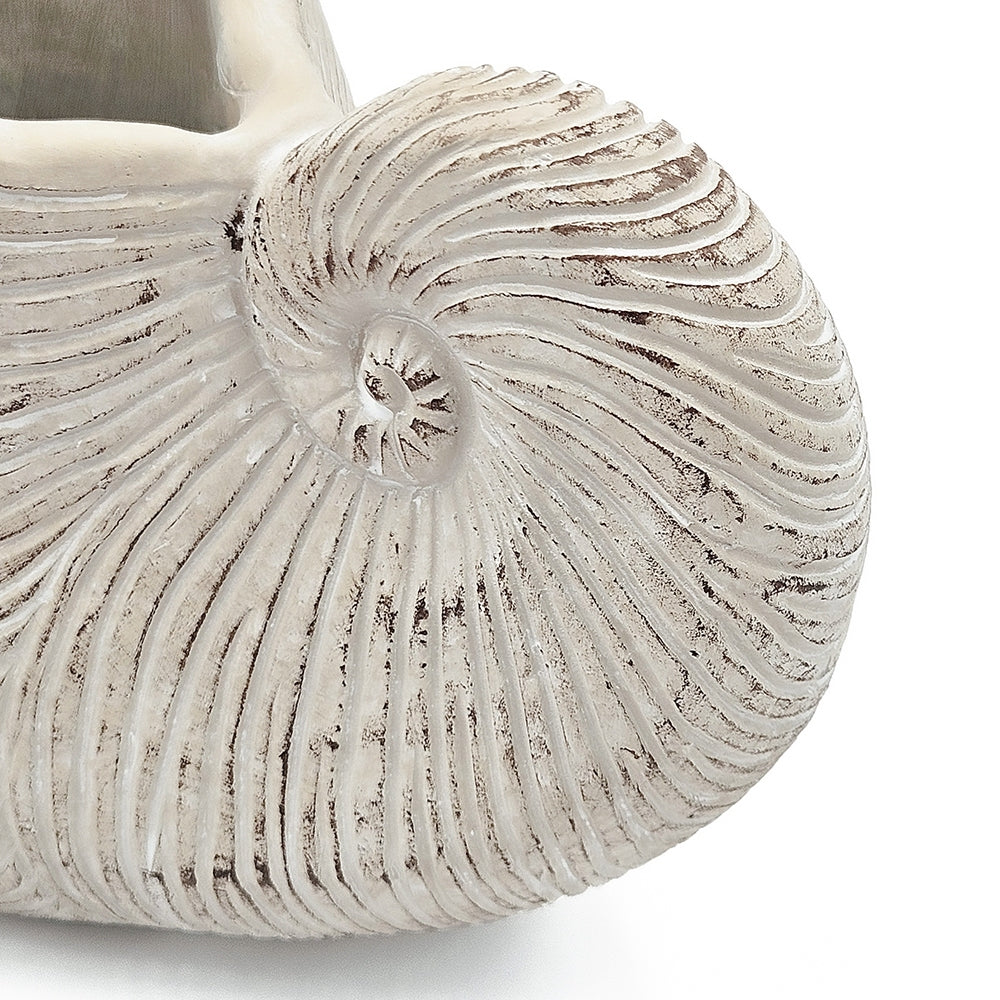 11.5x6.7x7.7" Sand and Cement Nautilus Shell Planter with Textured Beige Finish