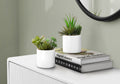 7" Tall Artificial Succulent Plant Set of 2 with White Ceramic Pots