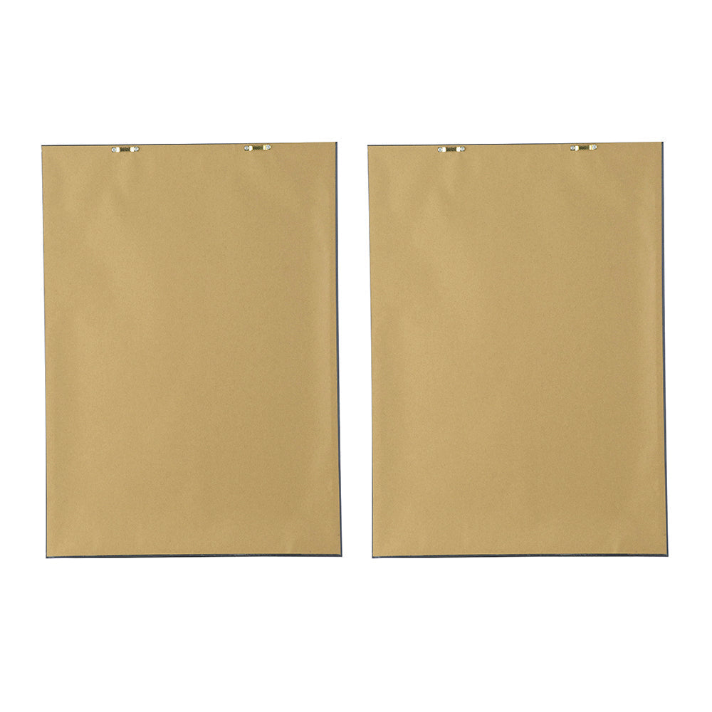 19.7x27.6 Botanical Wall Arts, Set of 2