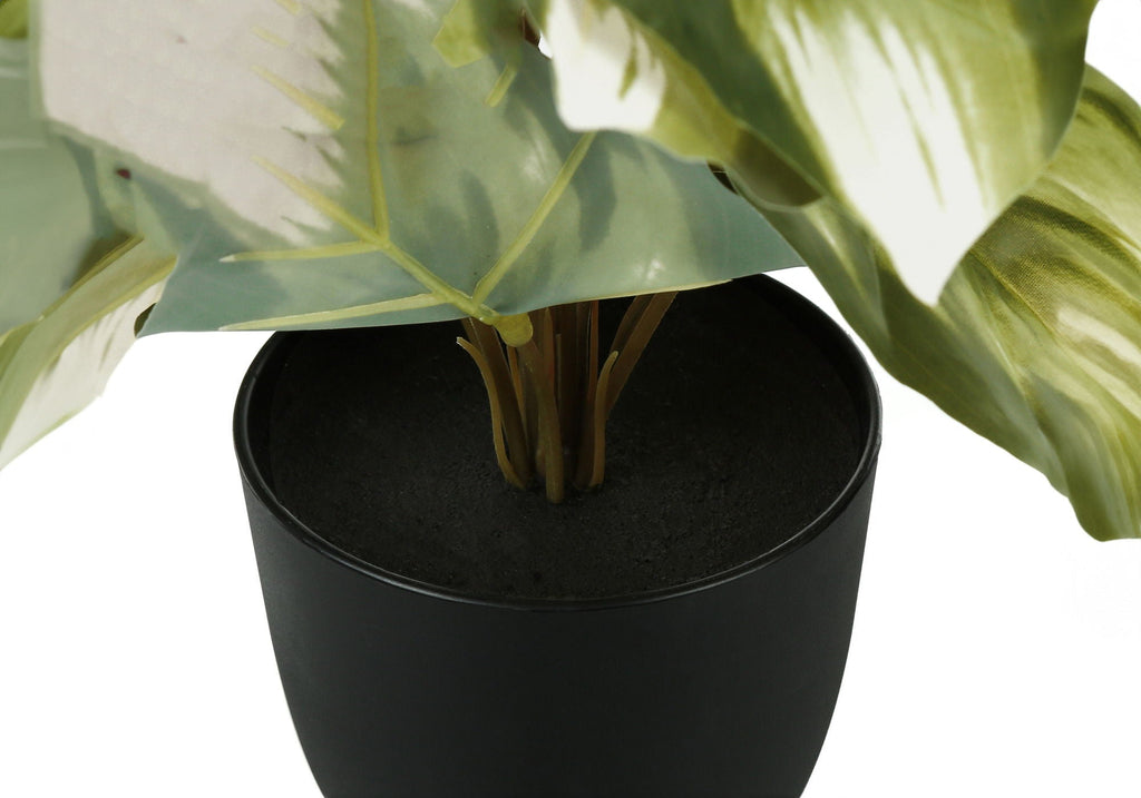 13" Tall Artificial Monstera and Calathea Plants, Set of 2