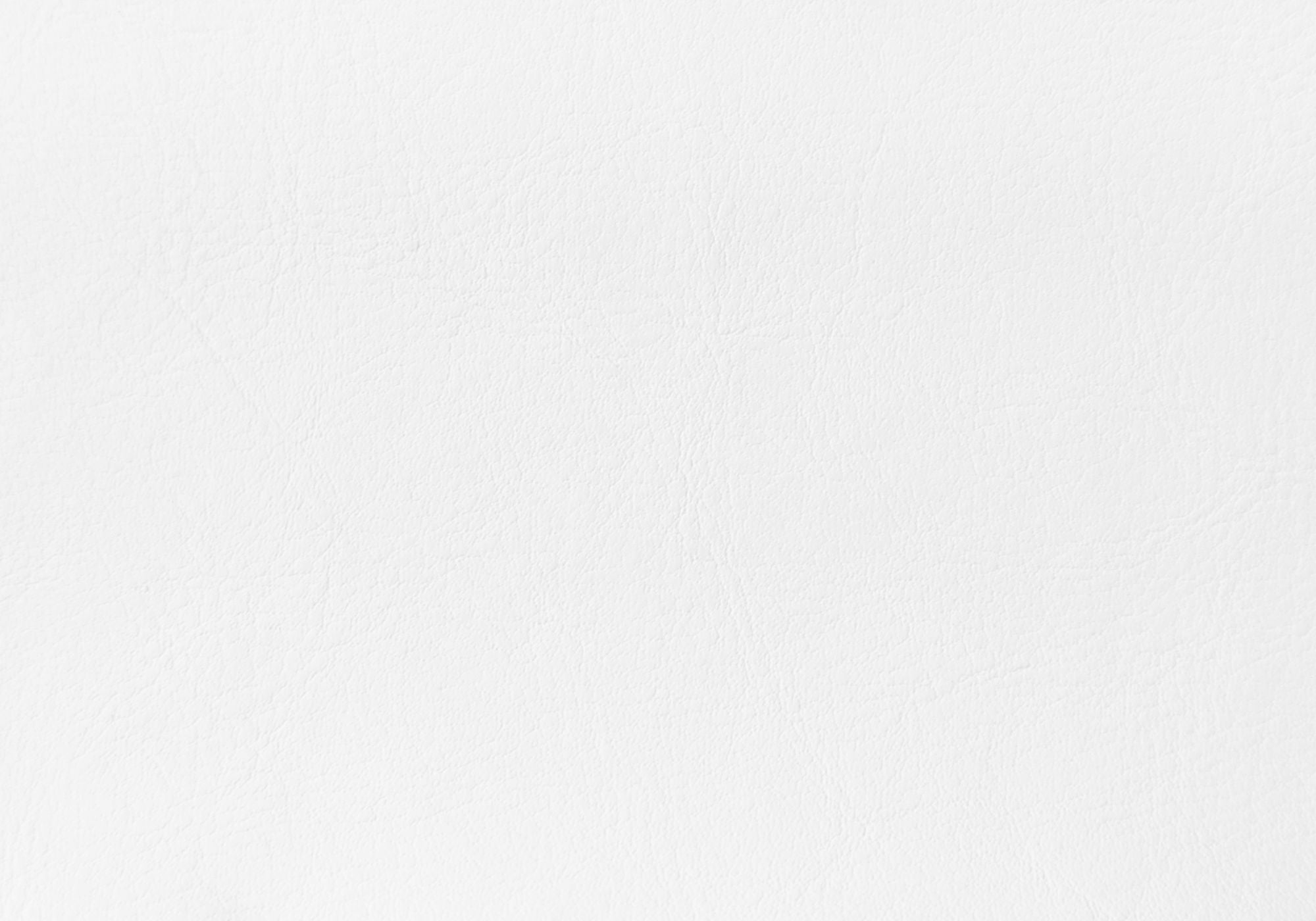 Queen Size Upholstered Bed Headboard - White, Transitional