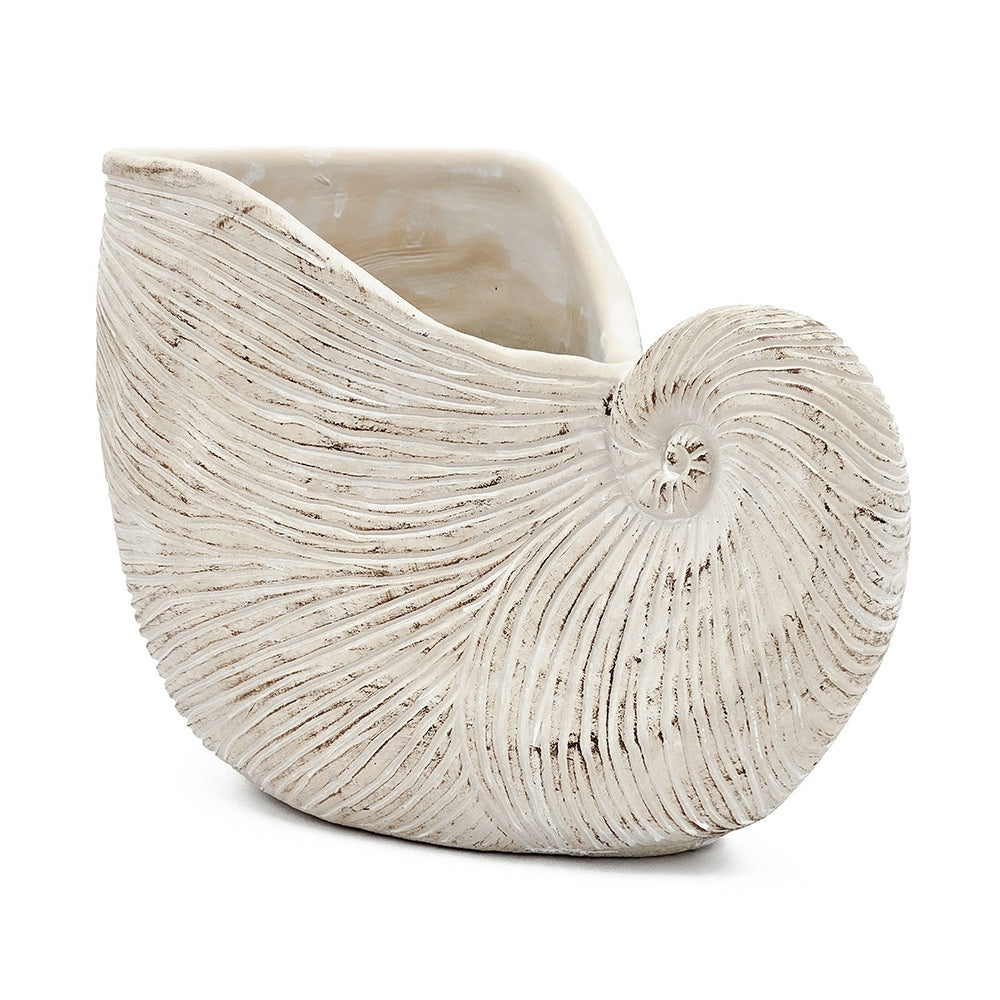 11.5x6.7x7.7" Sand and Cement Nautilus Shell Planter with Textured Beige Finish