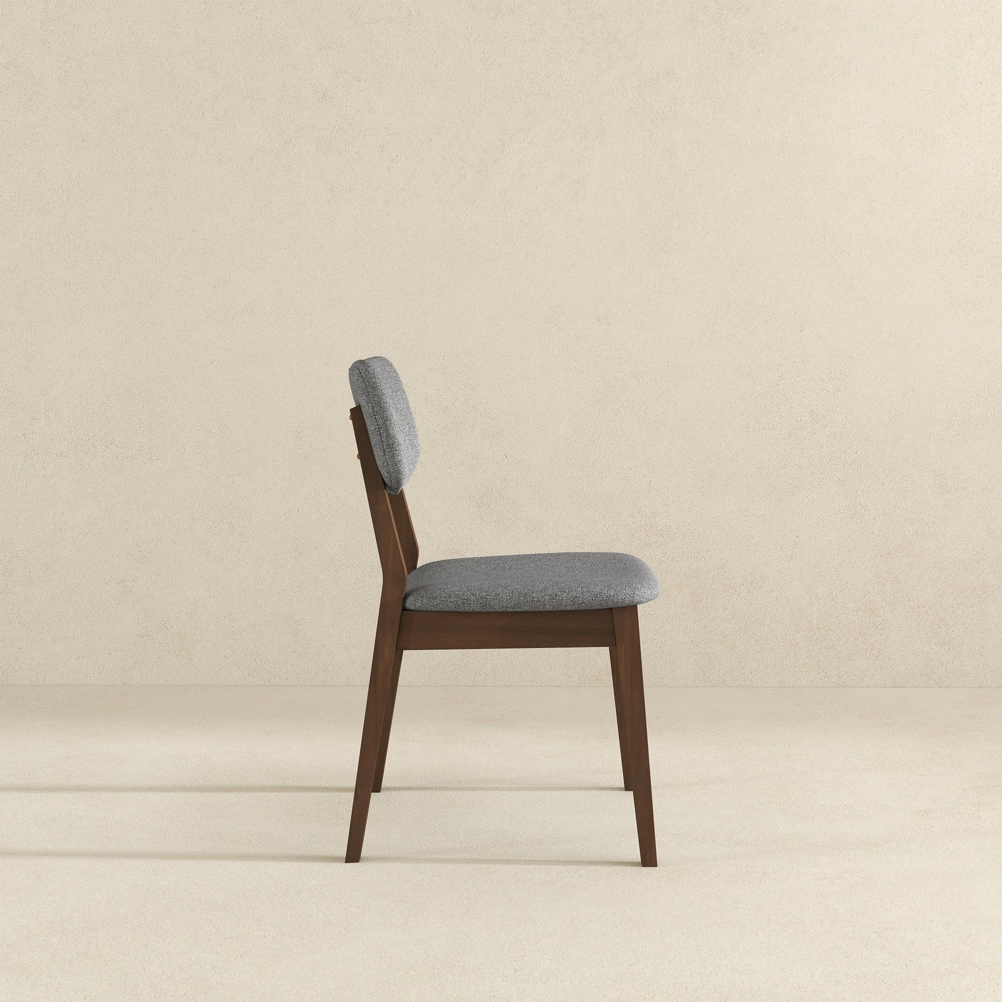 Carlos - Solid Back Side Chair (Set of 2)