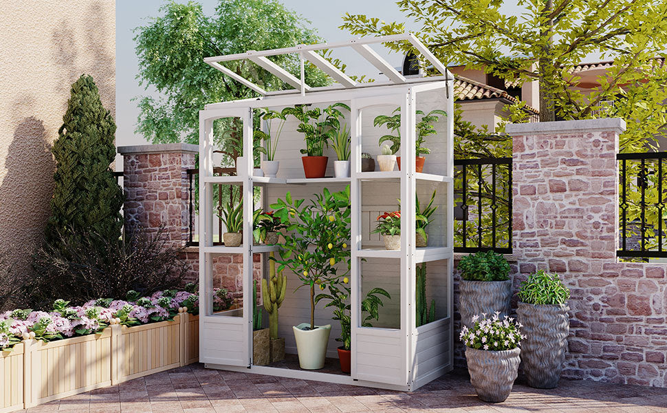 TOPMAX 78-Inch Wooden Greenhouse with Skylights and Folding Shelves