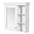 Wall Mounted Bathroom Medicine Cabinet with Mirror and Adjustable Storage