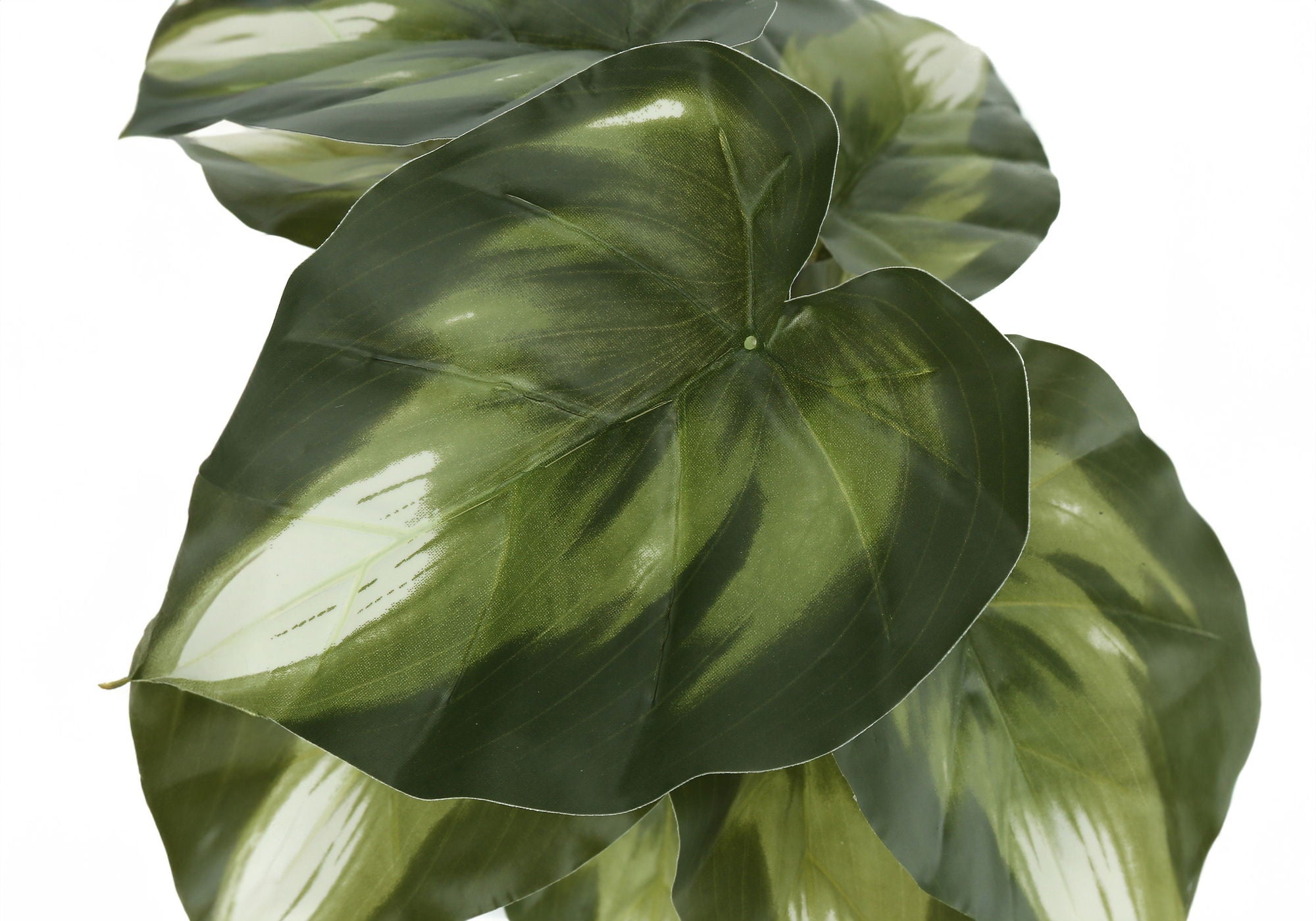 13" Tall Artificial Monstera and Calathea Plants, Set of 2