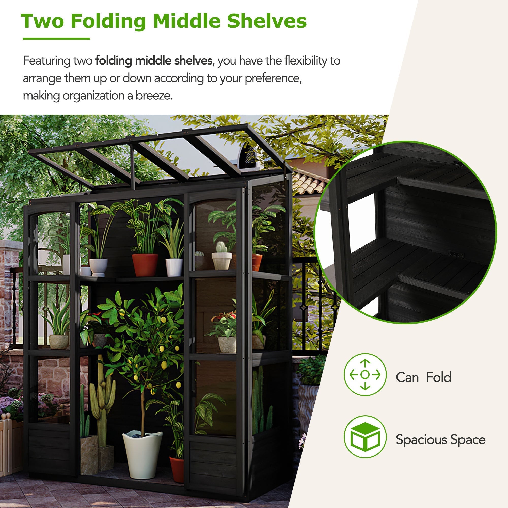 TOPMAX 78-inch Wooden Greenhouse Cold Frame with 4 Independent Skylights and 2 Folding Middle Shelves
